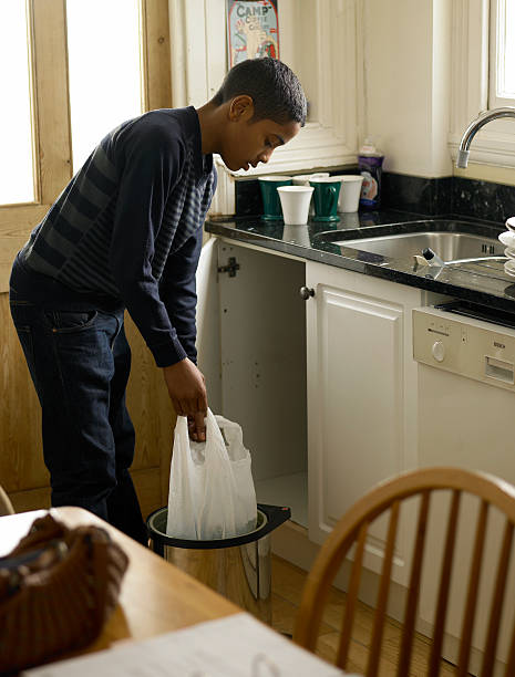 Attic Cleanout Services in Kaibito, AZ